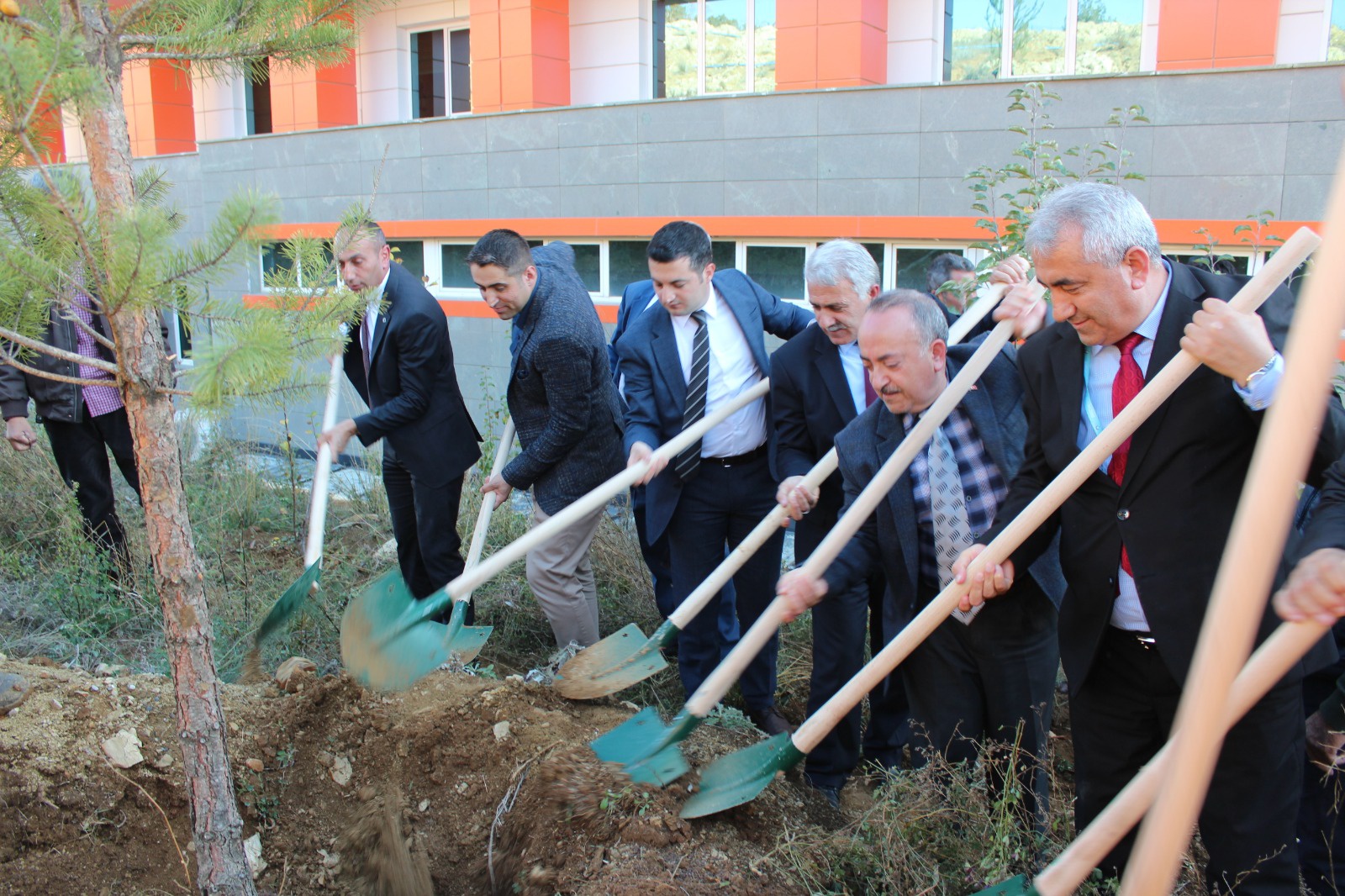 Şiran’da bir dikili ağaçları oldu 17