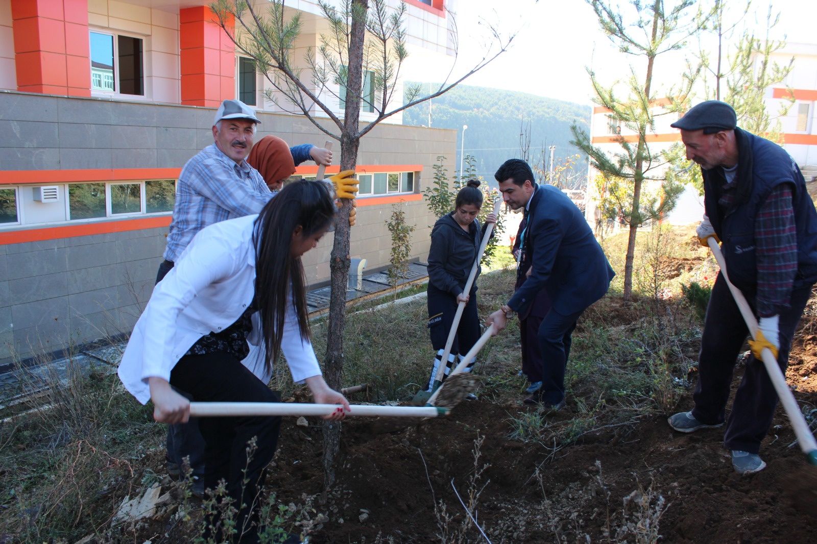 Şiran’da bir dikili ağaçları oldu 18