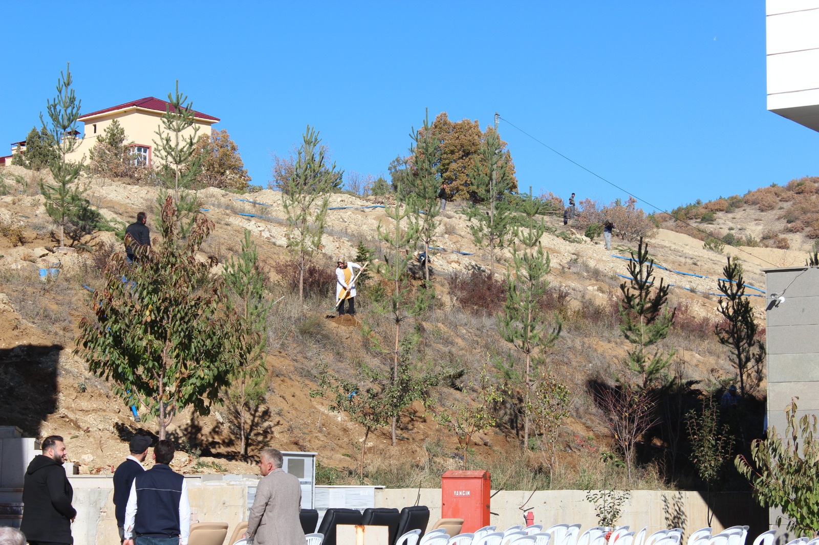 Şiran’da bir dikili ağaçları oldu 11