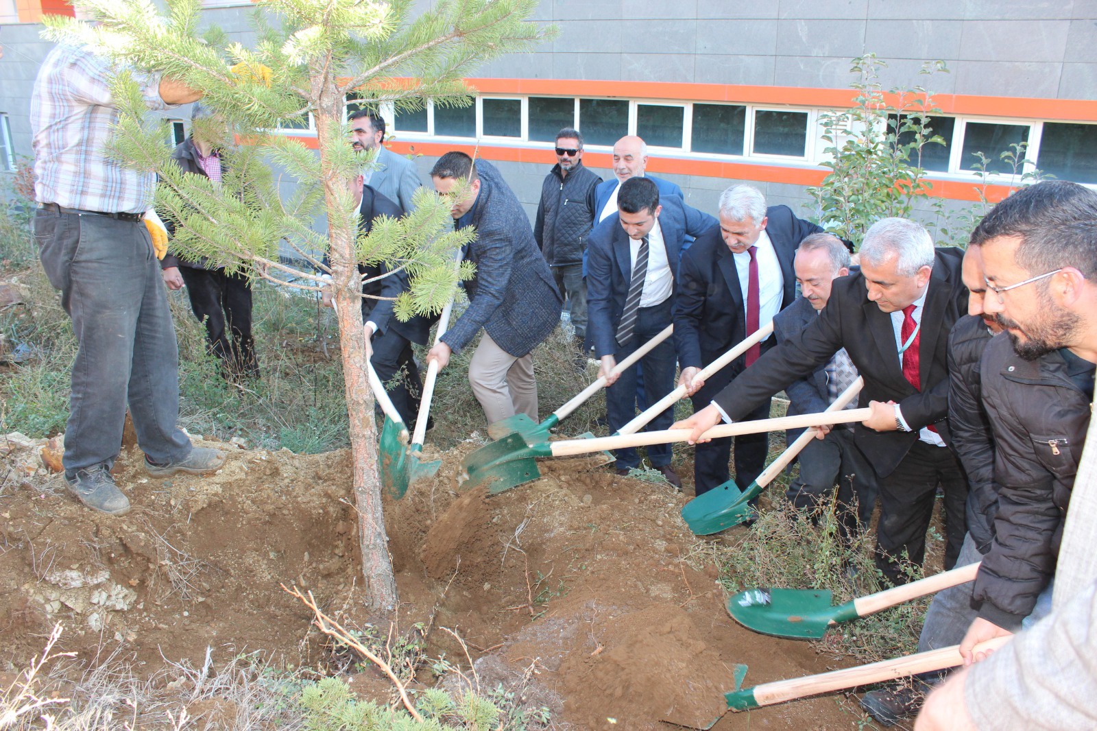 Şiran’da bir dikili ağaçları oldu 16