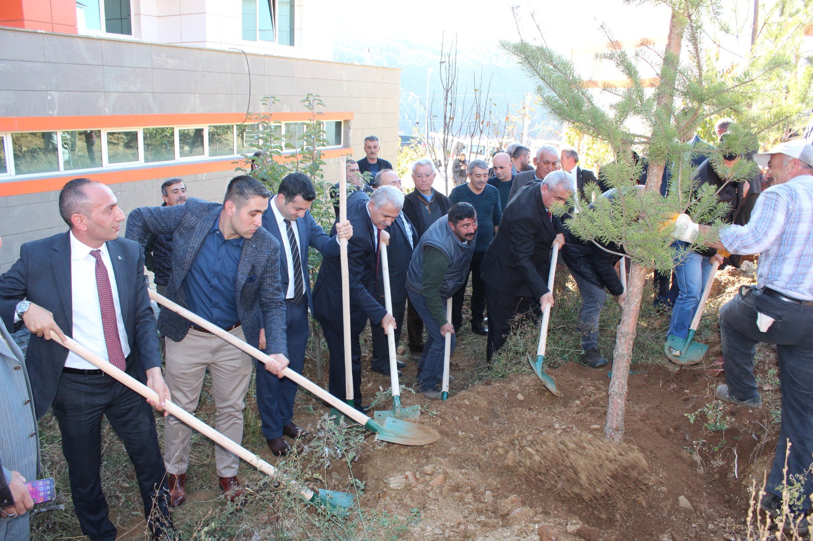Şiran’da bir dikili ağaçları oldu 21