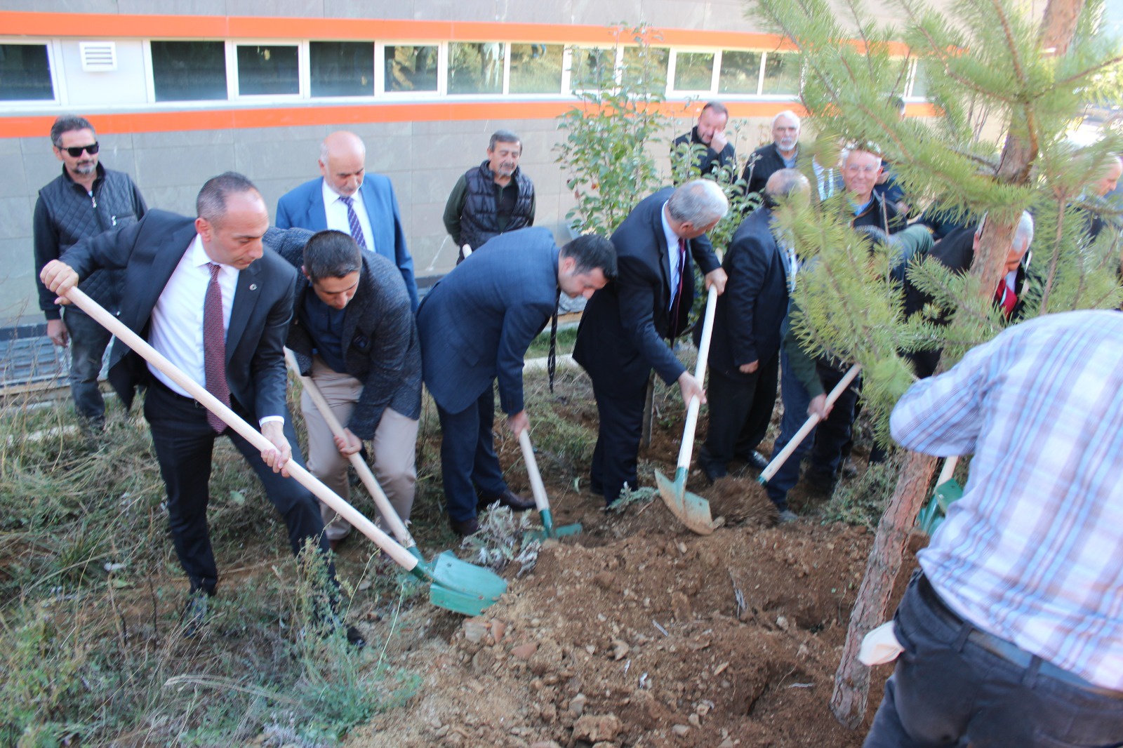 Şiran’da bir dikili ağaçları oldu 19