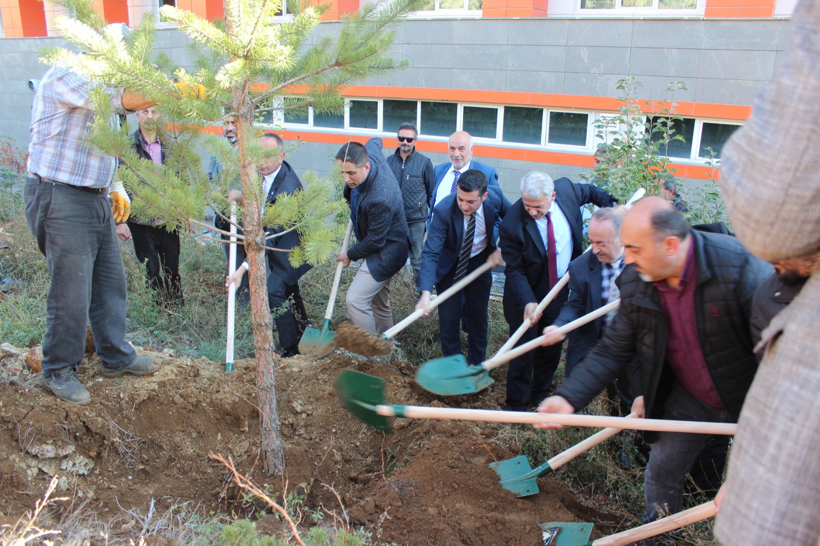 Şiran’da bir dikili ağaçları oldu 7