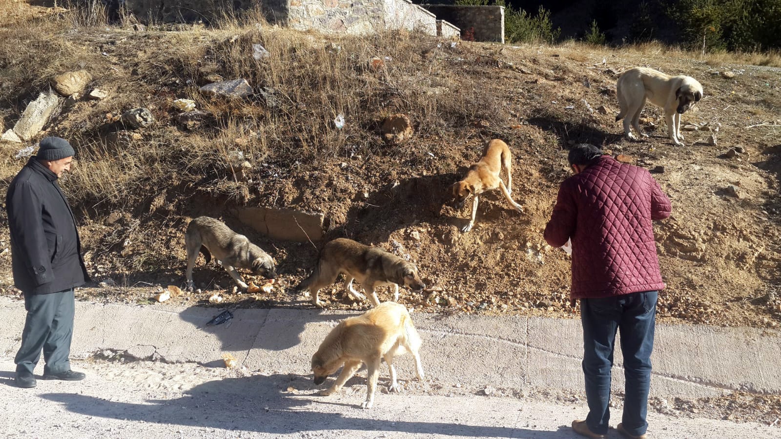 Özel İdare çalışanlarından örnek davranış 3