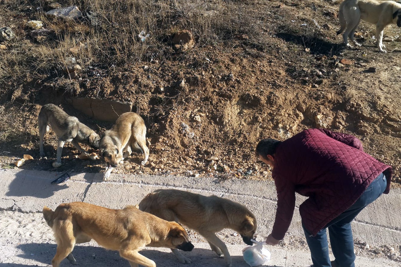 Özel İdare çalışanlarından örnek davranış 5