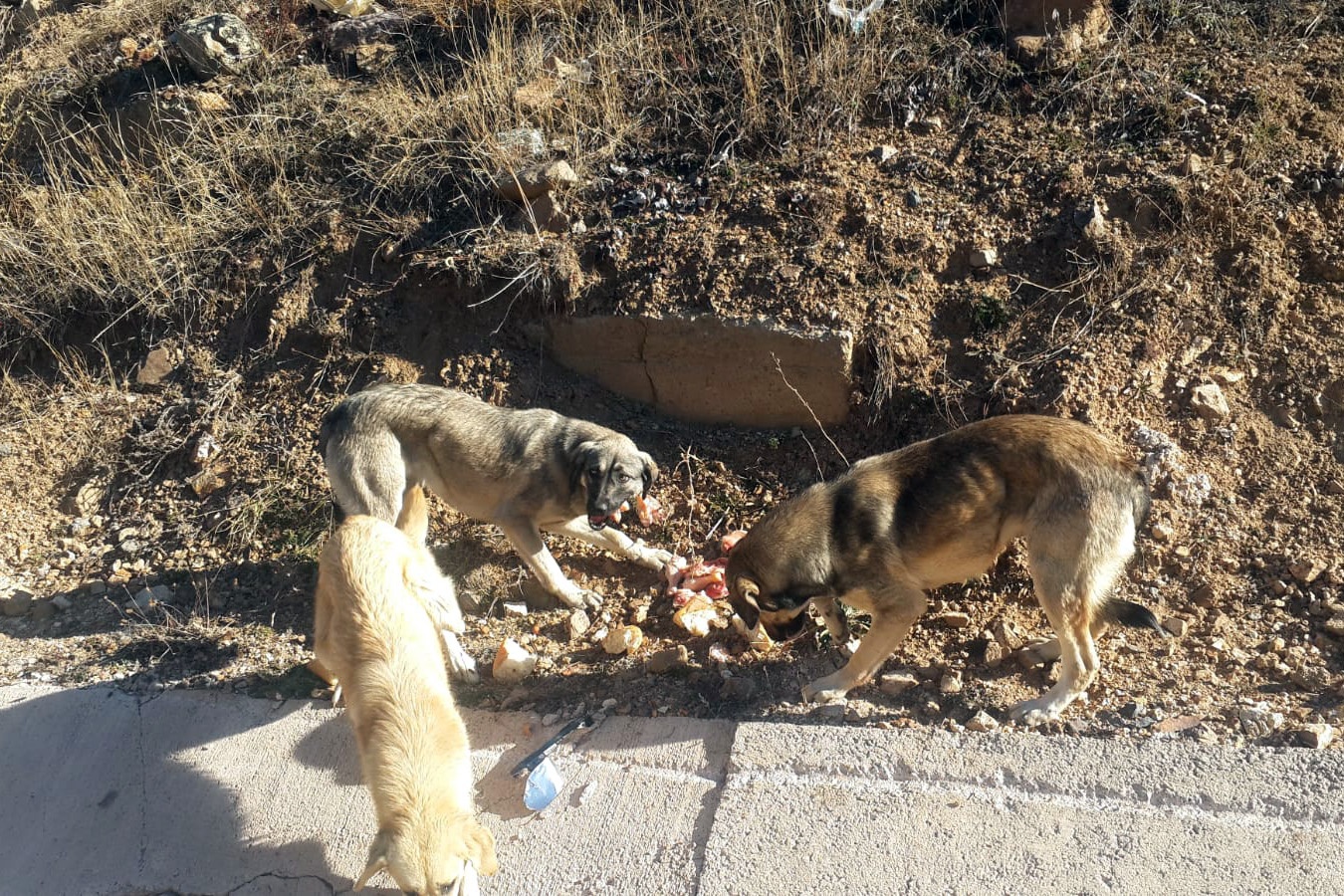 Özel İdare çalışanlarından örnek davranış 6