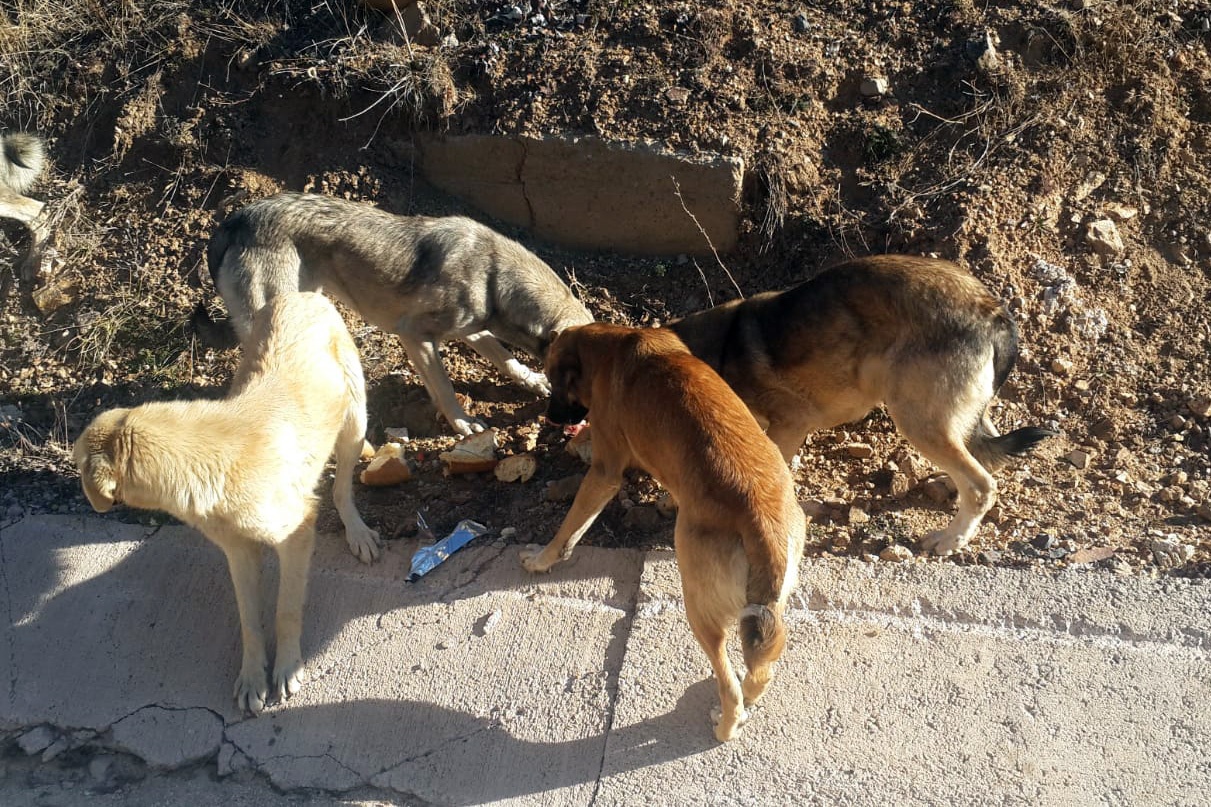 Özel İdare çalışanlarından örnek davranış 4