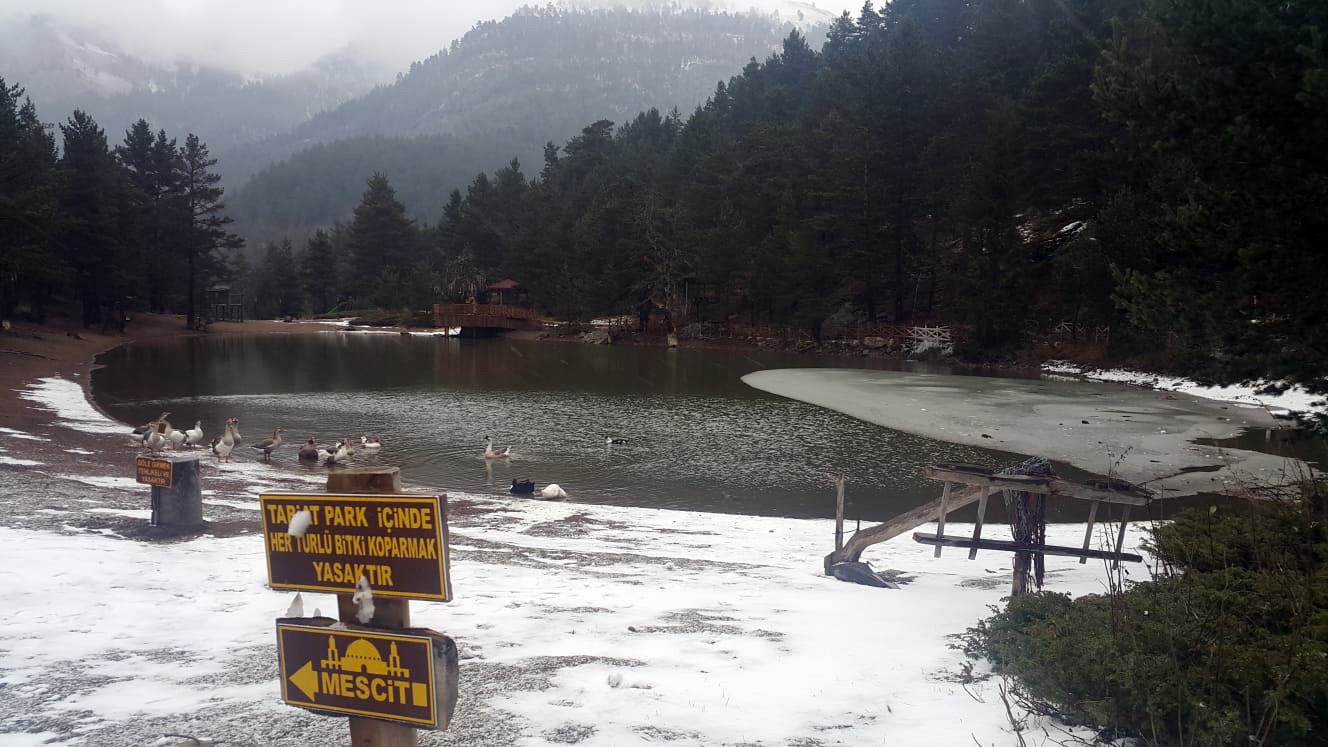 Limni Gölünde kar yağışı başladı 2