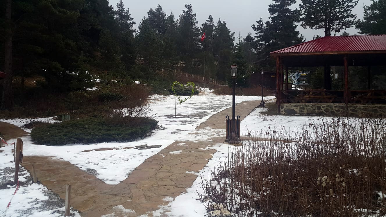 Limni Gölünde kar yağışı başladı 3