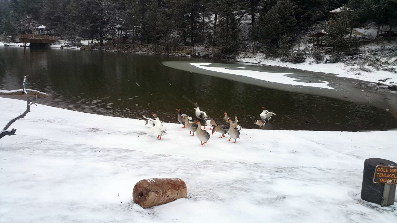 Limni Gölünde kar yağışı başladı 1
