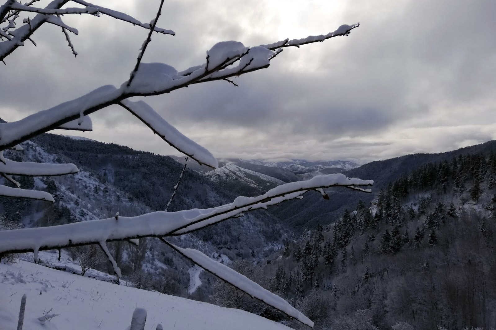 Gümüşhane’de kar yağışı 1