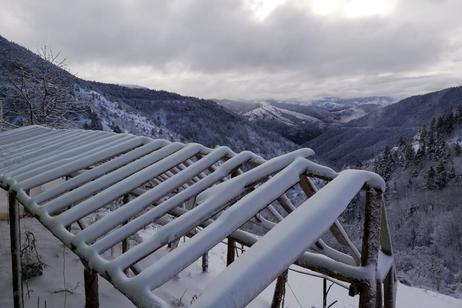 Gümüşhane’de kar yağışı 3