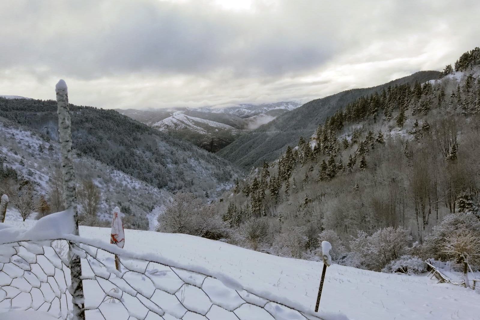 Gümüşhane’de kar yağışı 5