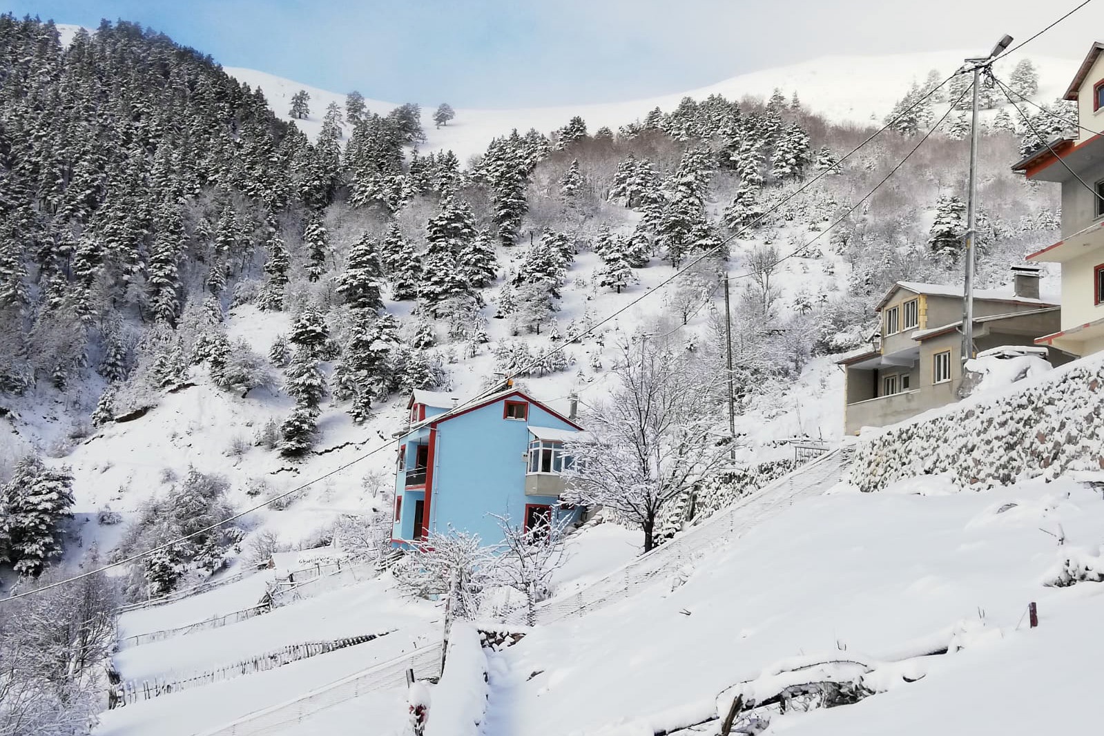 Gümüşhane’de kar yağışı 4