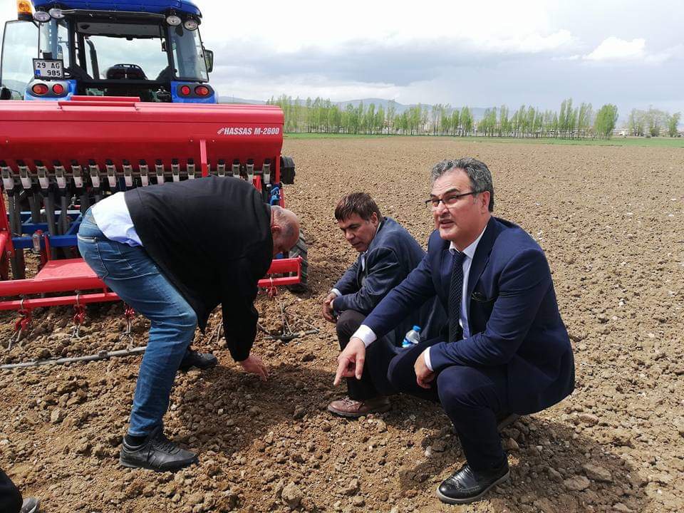 Kelkit Şeker Fasulyesi coğrafi işaretini aldı 12