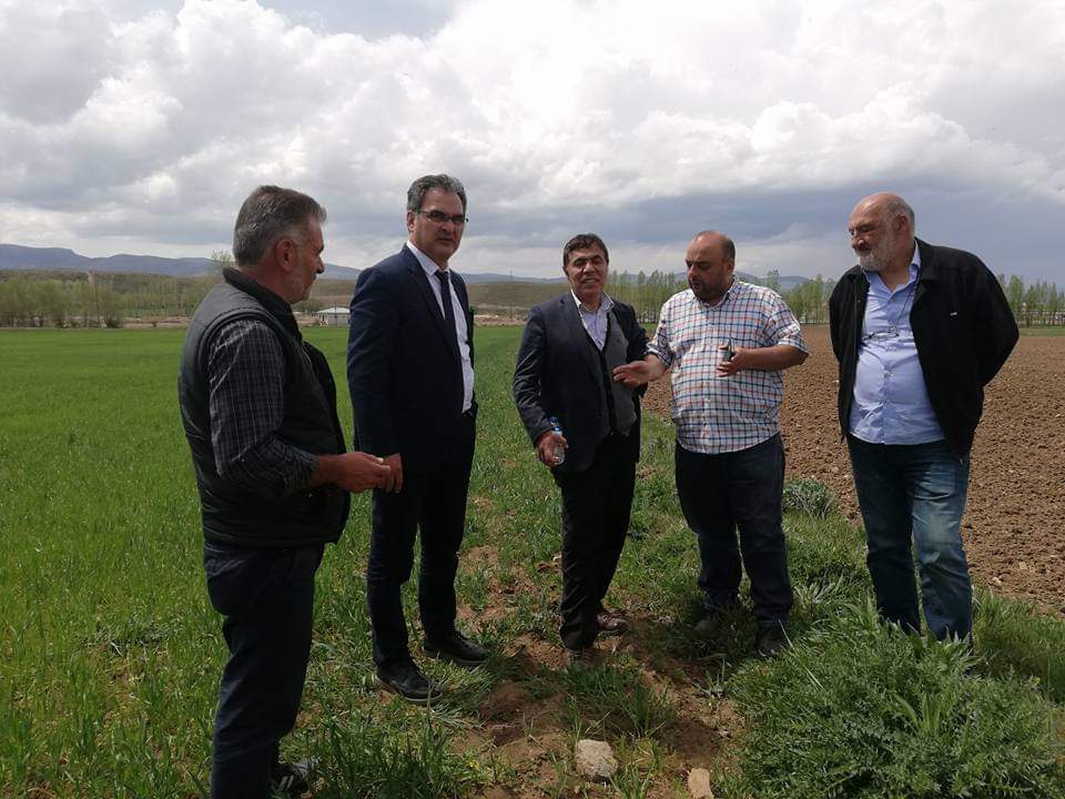 Kelkit Şeker Fasulyesi coğrafi işaretini aldı 2