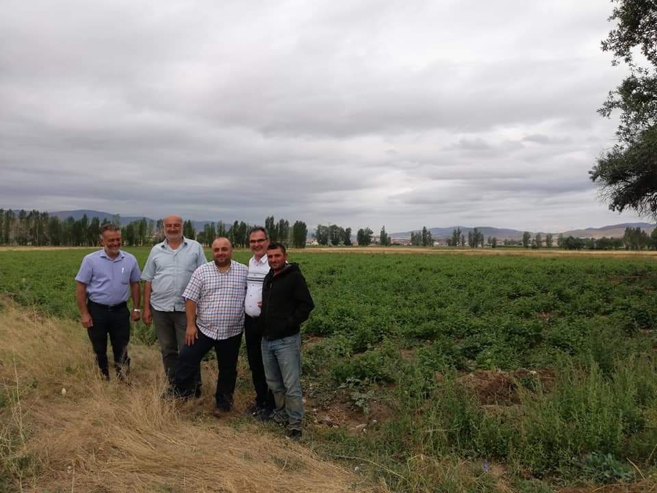 Kelkit Şeker Fasulyesi coğrafi işaretini aldı 13