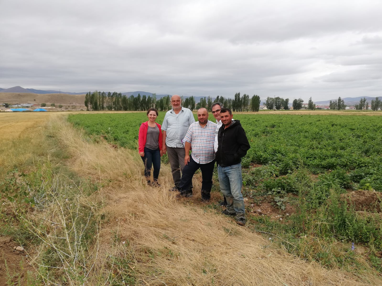 Kelkit Şeker Fasulyesi coğrafi işaretini aldı 16