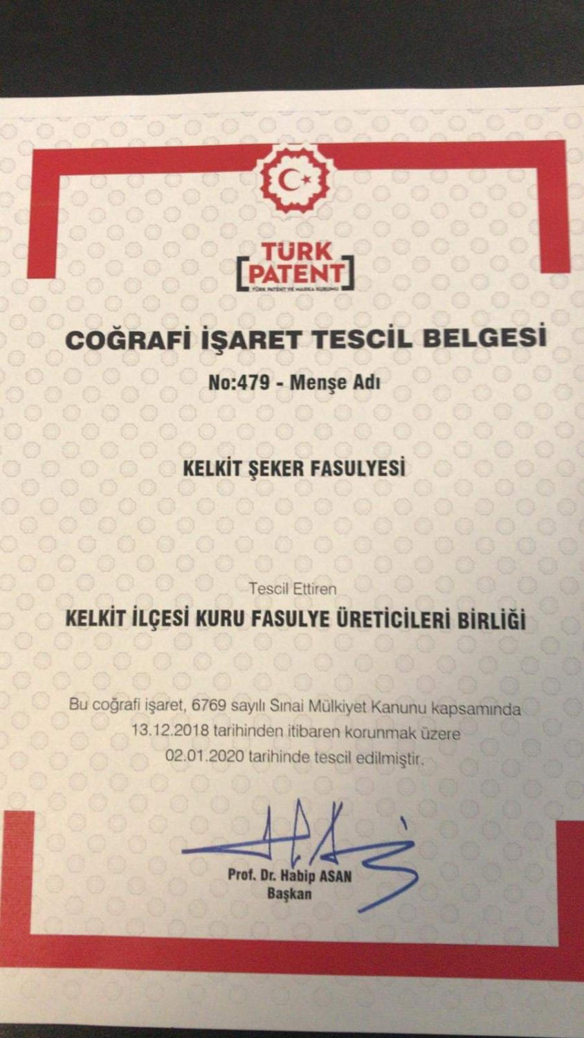 Kelkit Şeker Fasulyesi coğrafi işaretini aldı 9