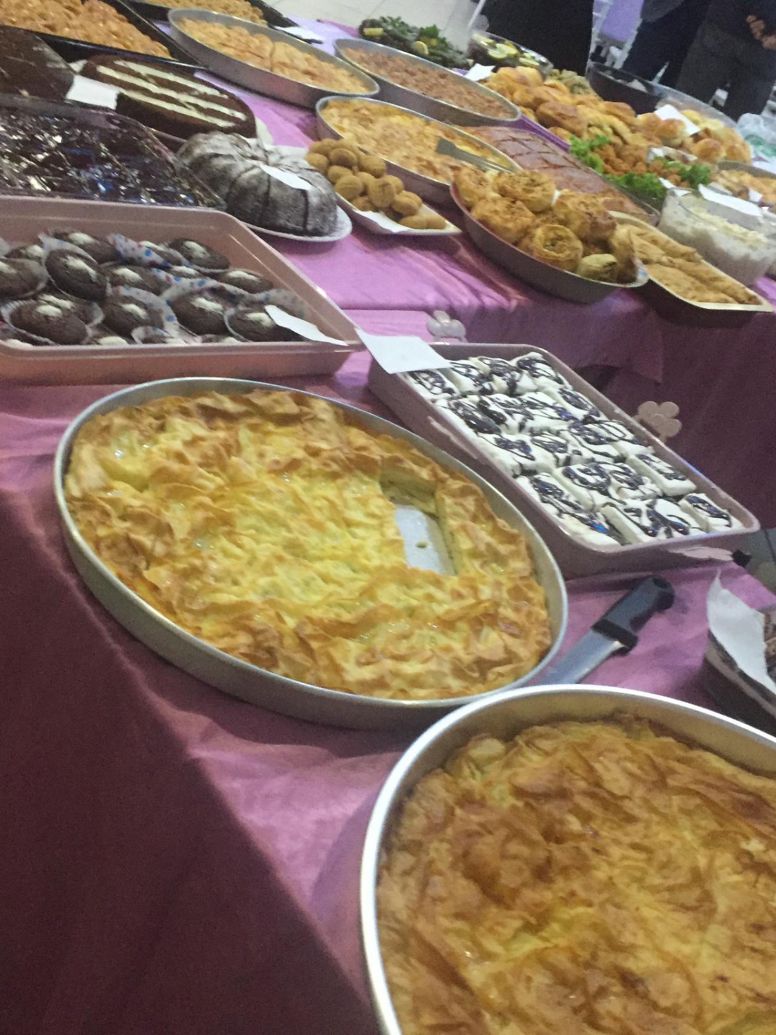 Telmelilerden eğitime destek gecesi 14