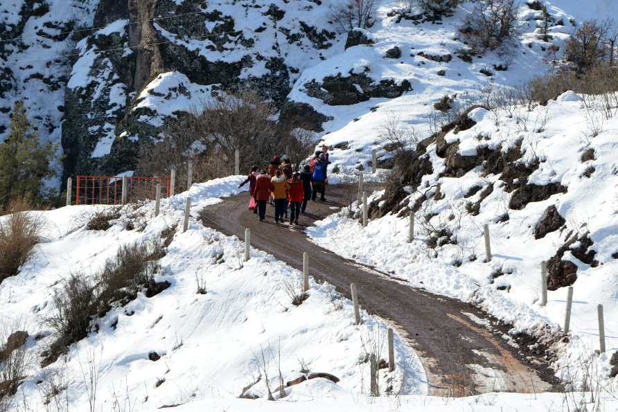 Torul’da yaban hayatı unutulmadı 6