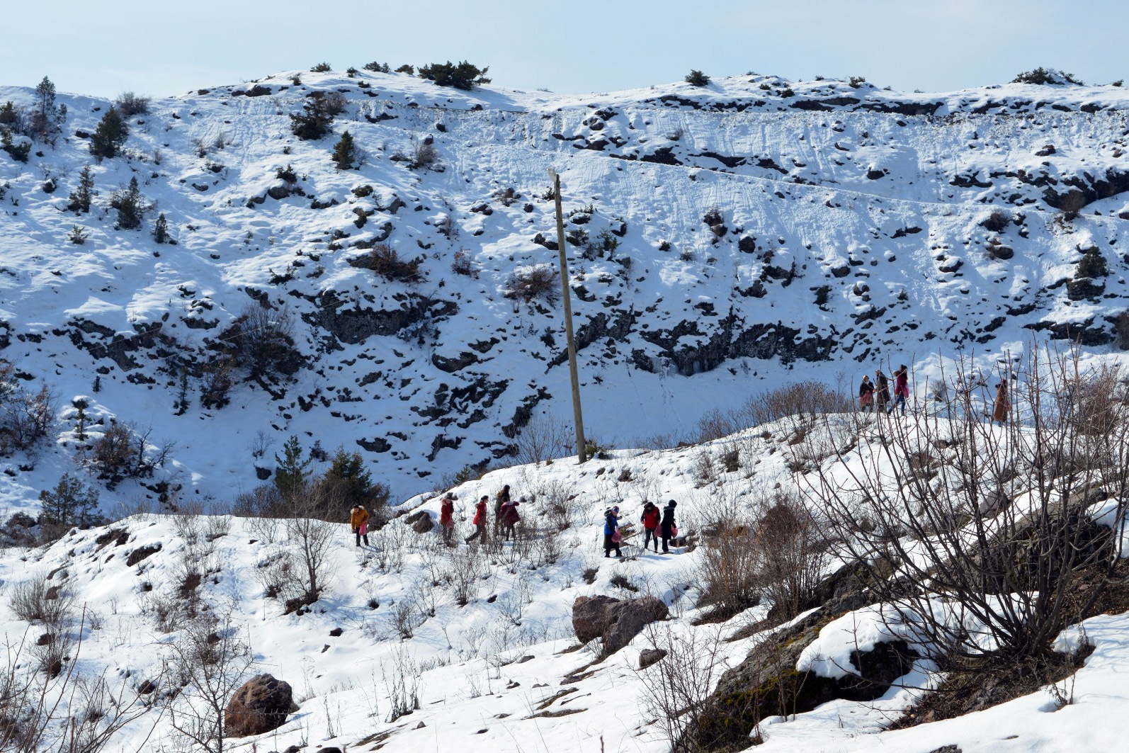 Torul’da yaban hayatı unutulmadı 10