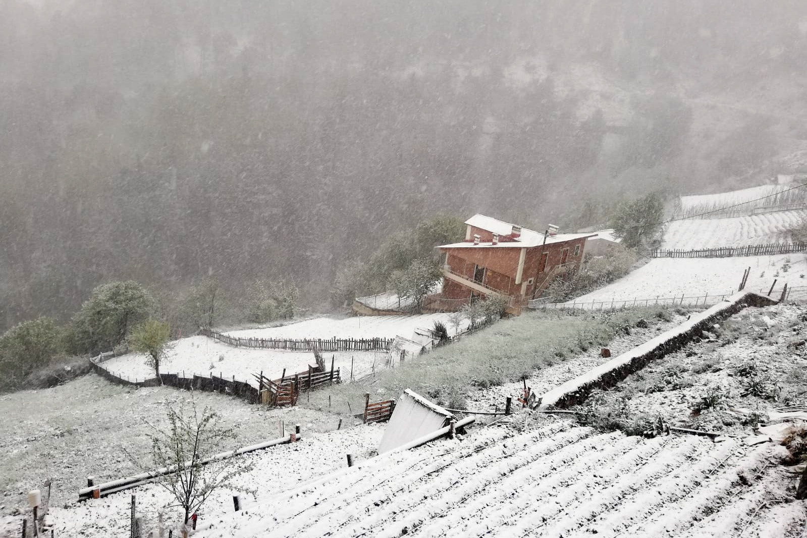 Gümüşhane’nin yüksek kesimlerine 23 Mayıs'ta kar sürprizi  12