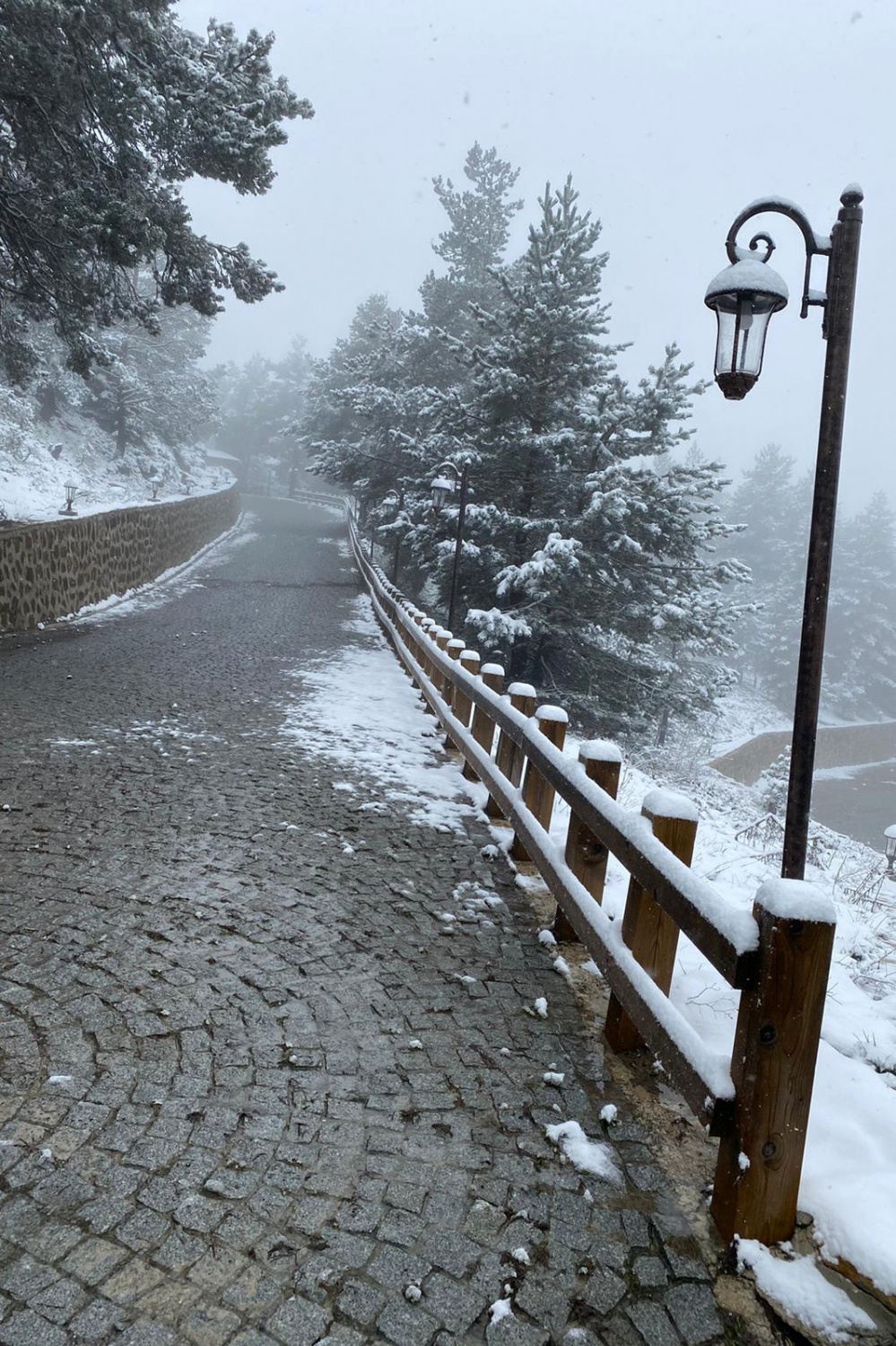 Gümüşhane’nin yüksek kesimlerine 23 Mayıs'ta kar sürprizi  18