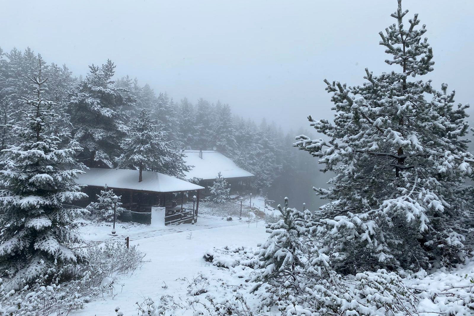 Gümüşhane’nin yüksek kesimlerine 23 Mayıs'ta kar sürprizi  15