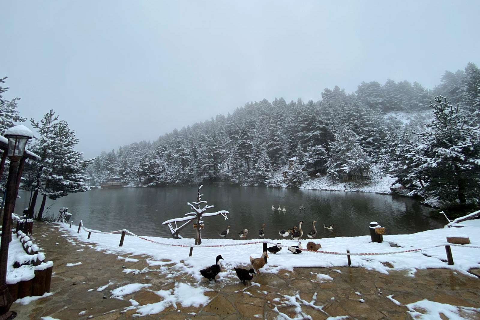 Gümüşhane’nin yüksek kesimlerine 23 Mayıs'ta kar sürprizi  6