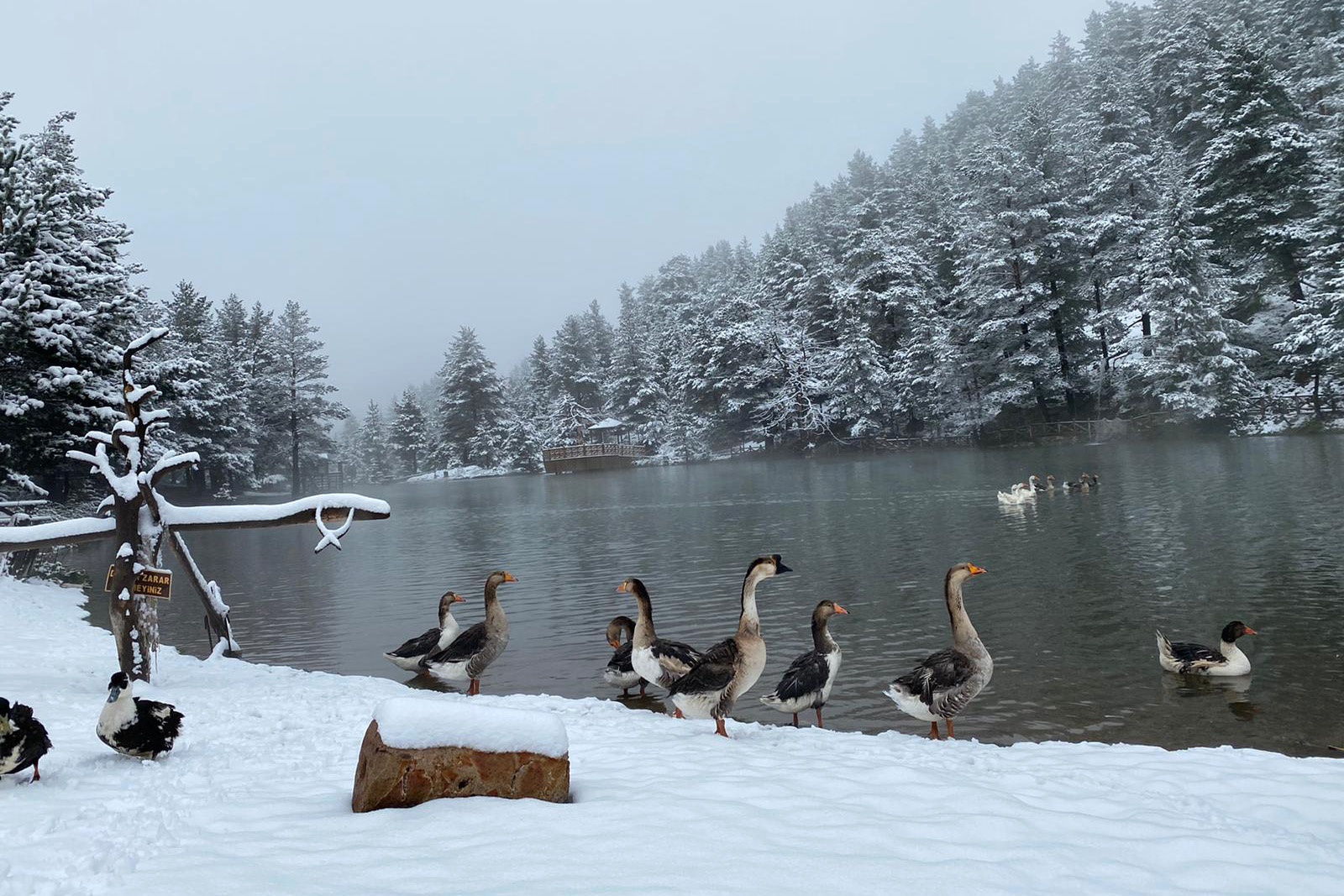 Gümüşhane’nin yüksek kesimlerine 23 Mayıs'ta kar sürprizi  10