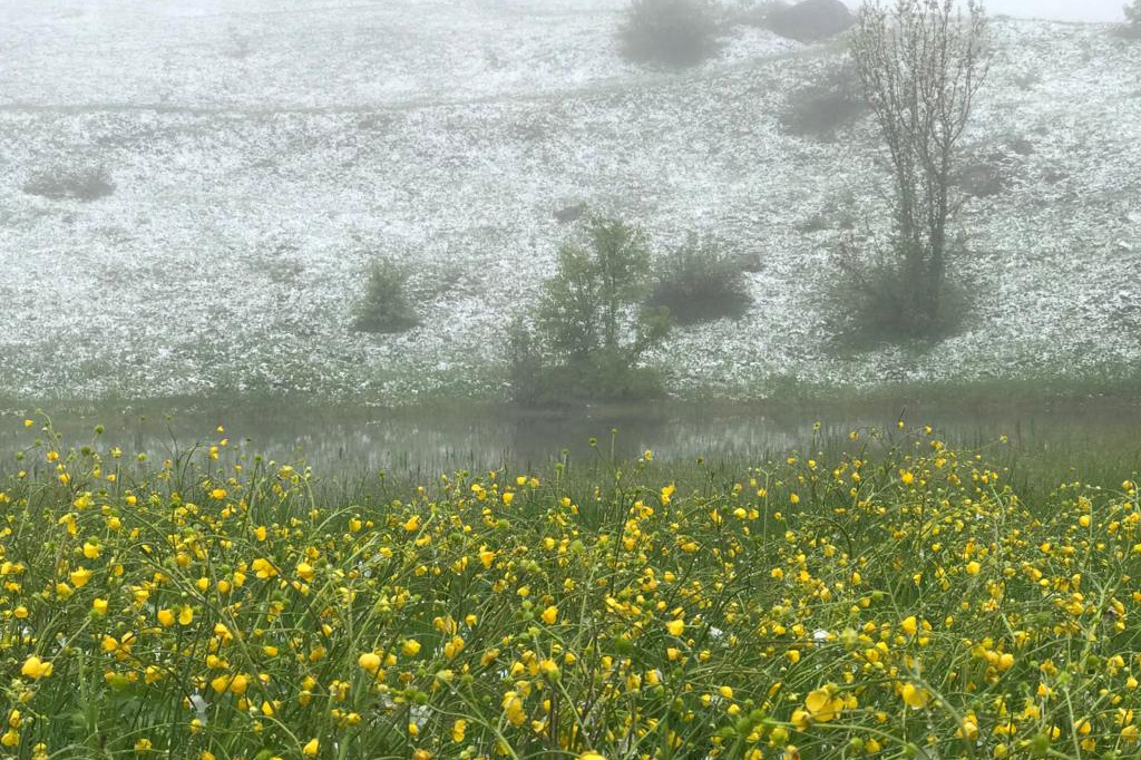 Gümüşhane’nin yüksek kesimlerine 23 Mayıs'ta kar sürprizi  3