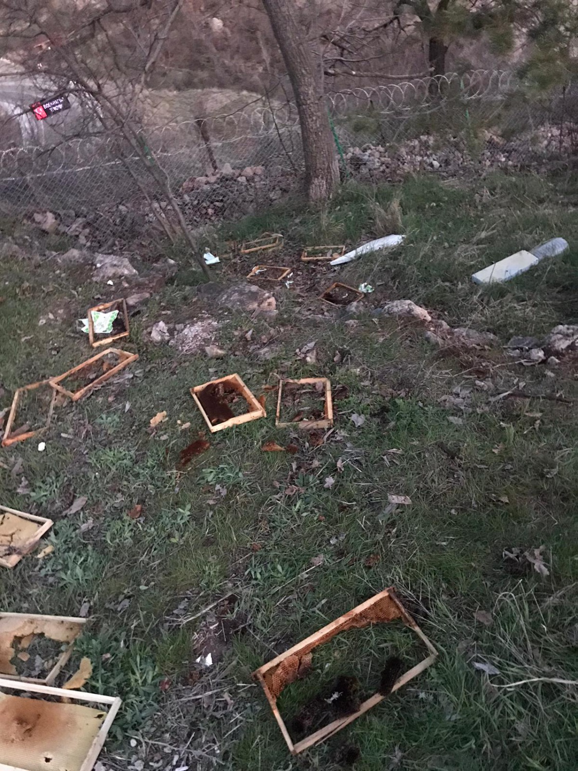 Ayılar bu mahalleyi mesken tuttu 3