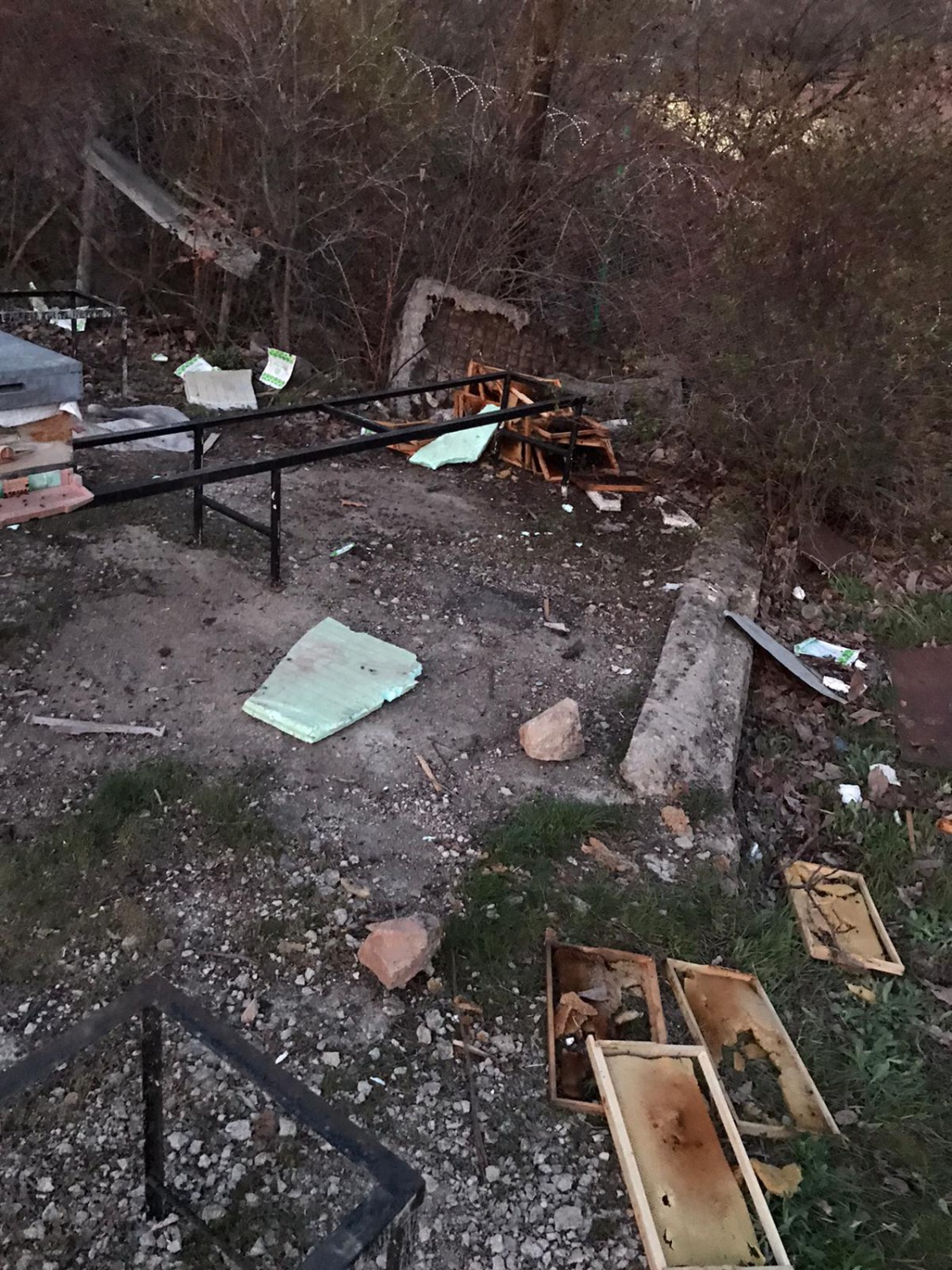 Ayılar bu mahalleyi mesken tuttu 2