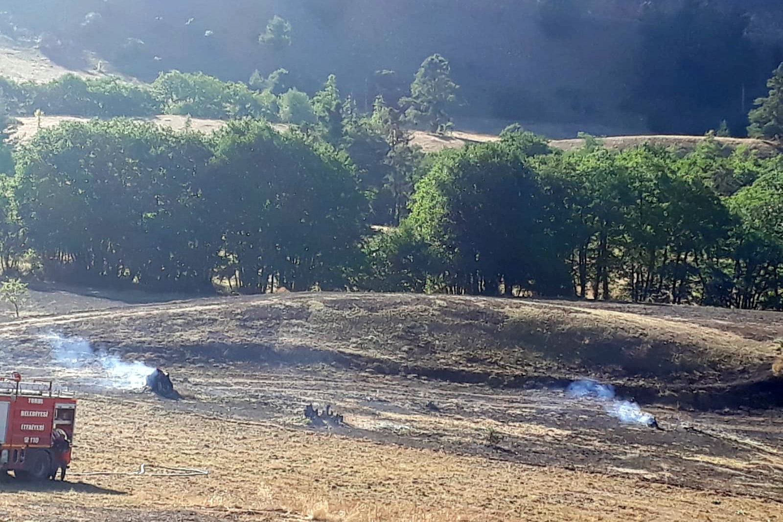 Gümüşhane’den ardı ardına yangın haberleri 14