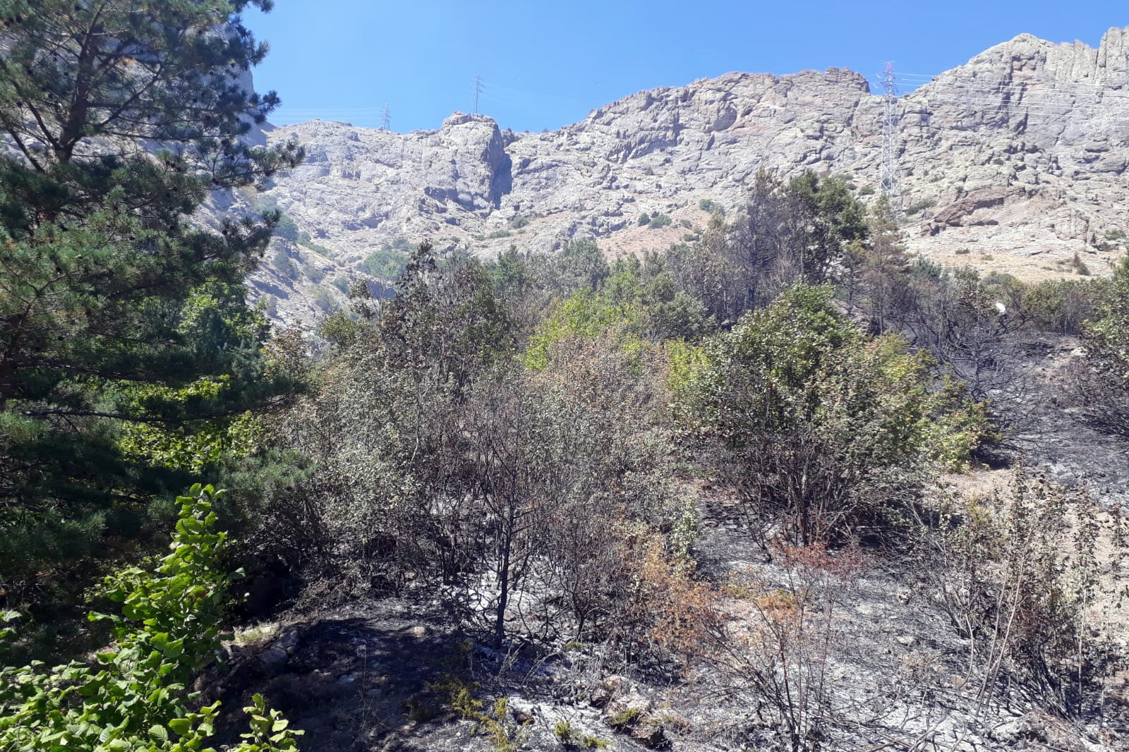 Gümüşhane’den ardı ardına yangın haberleri 13
