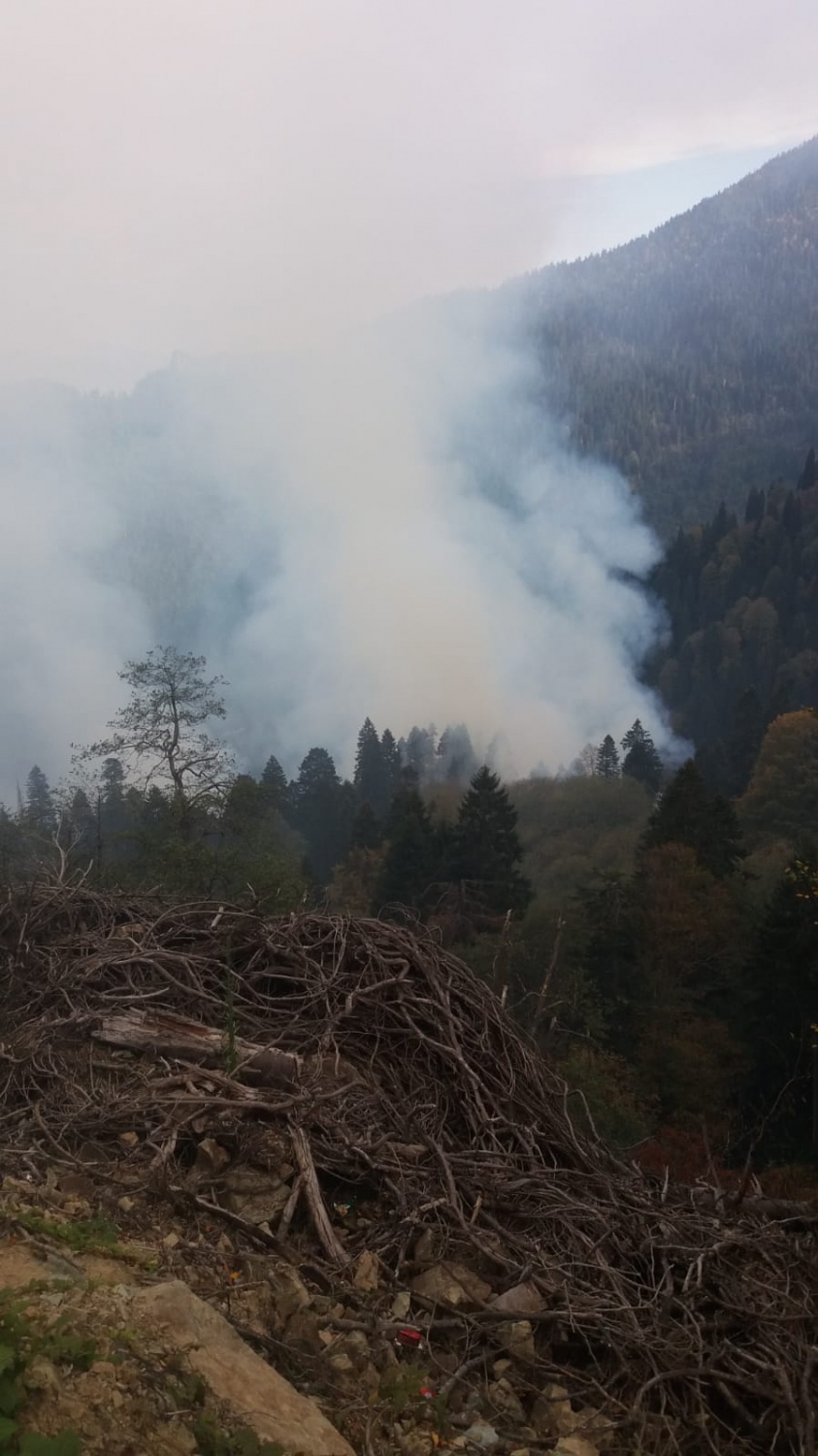 Kürtün’deki yangınlar kontrol altına alındı 1