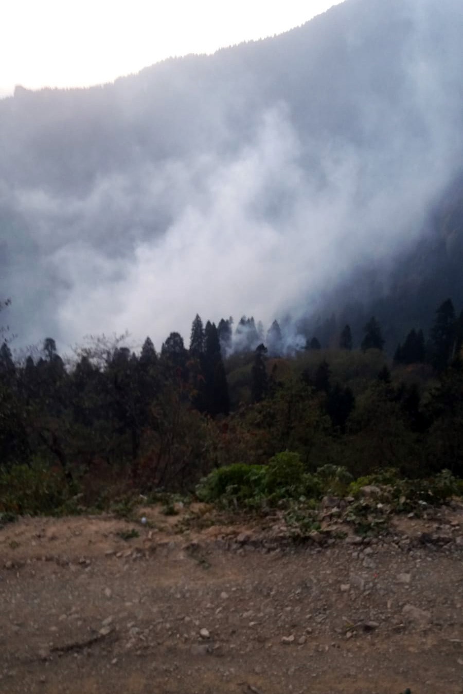 Kürtün’deki yangınlar kontrol altına alındı 5