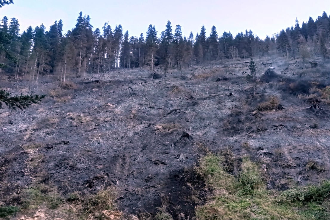 Kürtün’deki yangınlar kontrol altına alındı 6