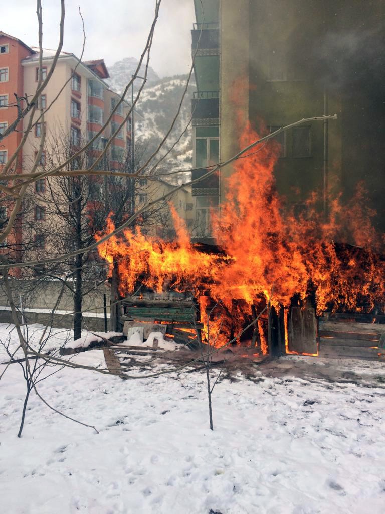 Yanan barakada alevlerin arasına girip köpeği kurtardı 12