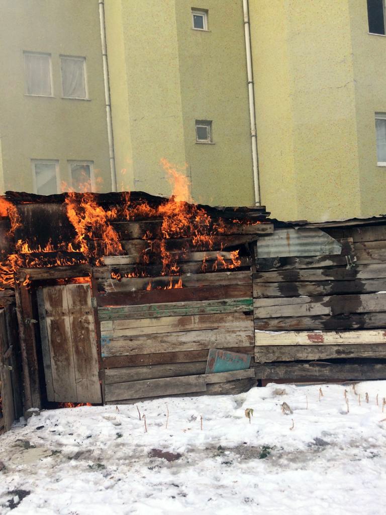 Yanan barakada alevlerin arasına girip köpeği kurtardı 10