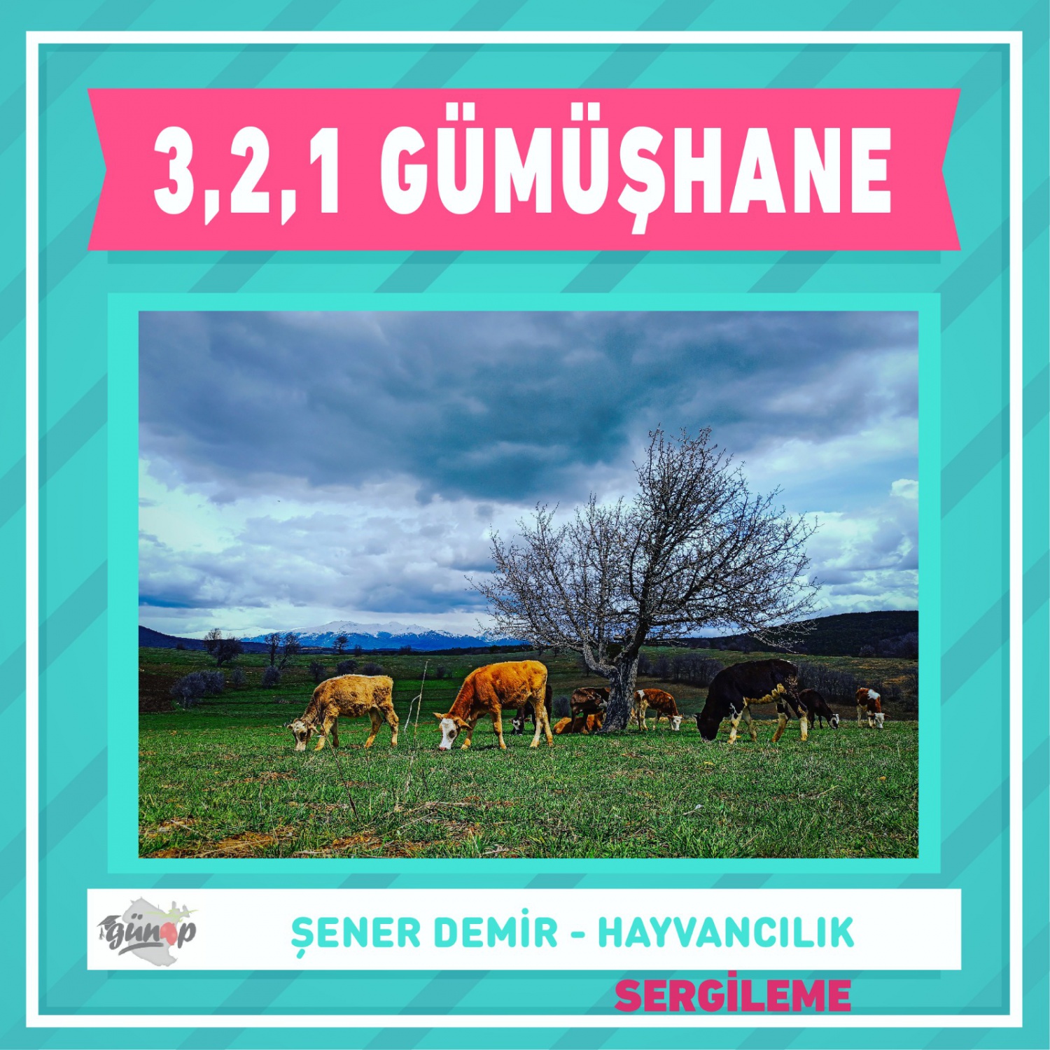 3-2-1 Gümüşhane! fotoğraf yarışması ödülleri sahiplerini buldu 6