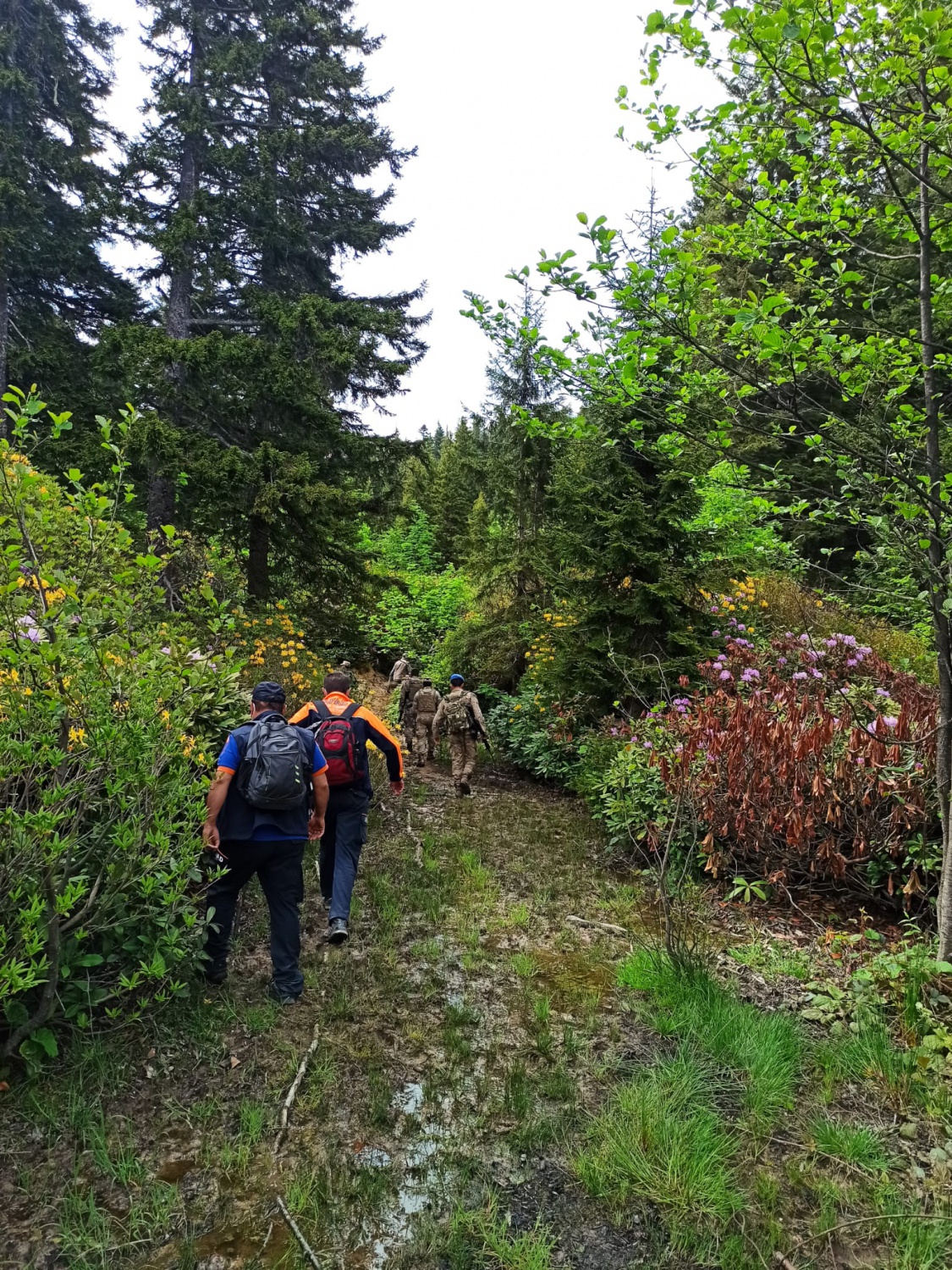 Kürtün’de kayıp şahıs aranıyor 5