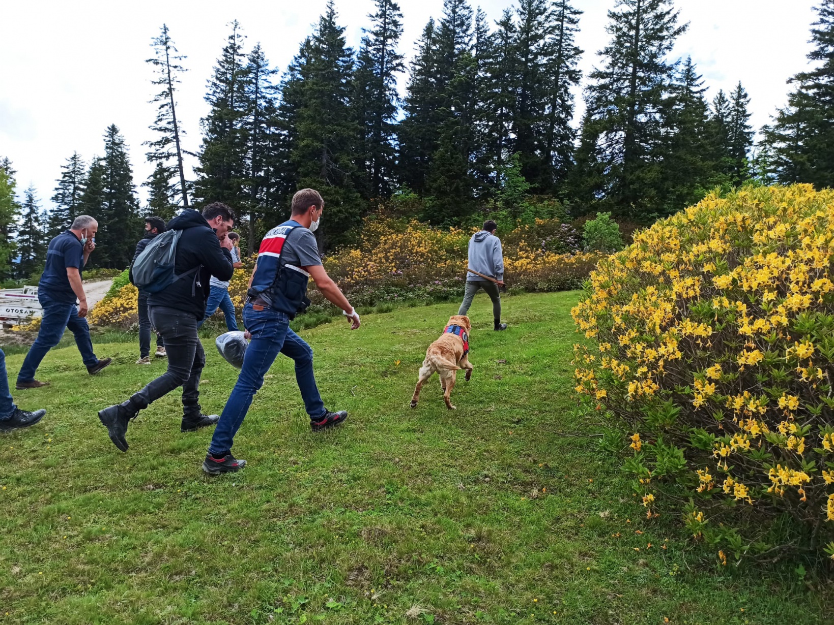 Kürtün’de kayıp şahıs aranıyor 7