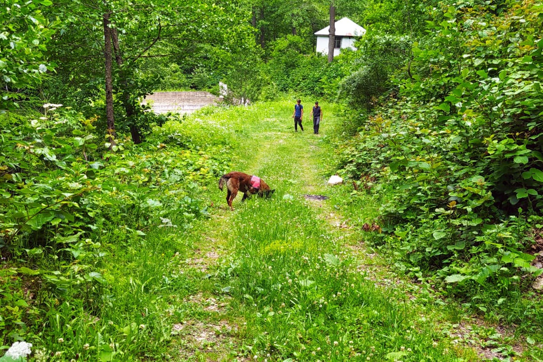 Neredesin Hacı Meral? 4