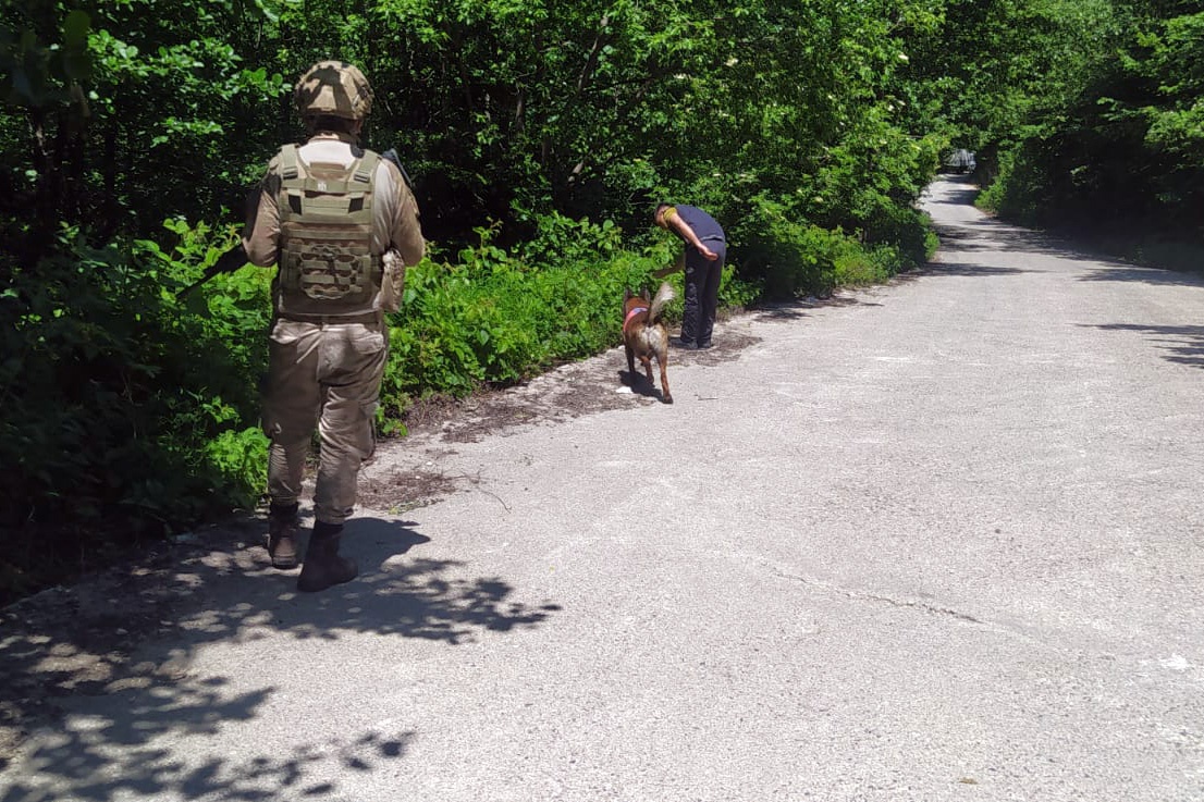 Neredesin Hacı Meral? 3