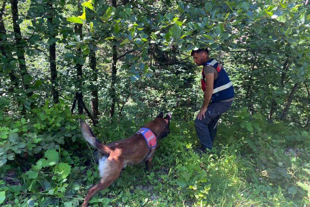 Neredesin Hacı Meral? 2