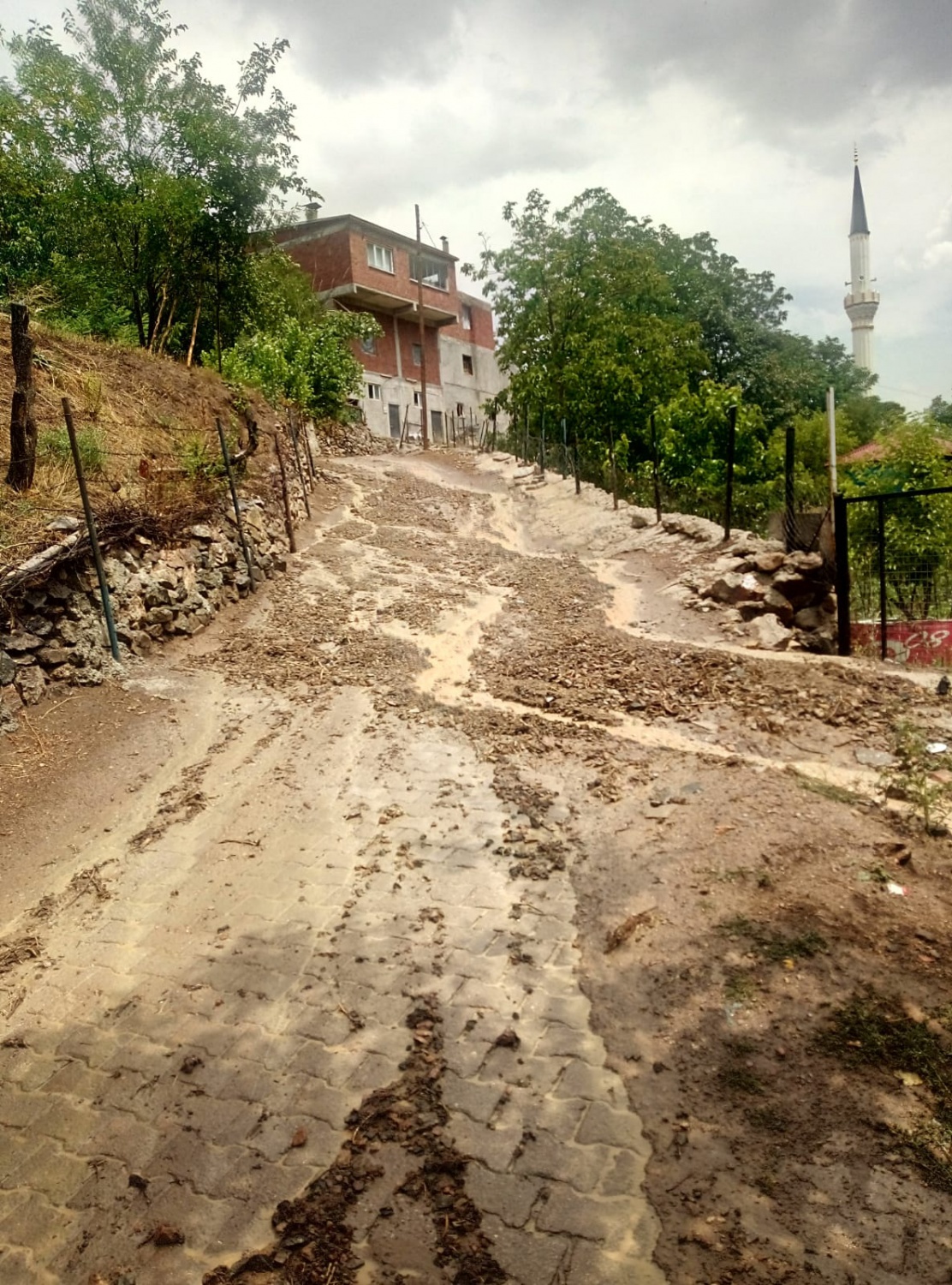 Gümüşhane’de kuvvetli sağanak etkili oldu 8