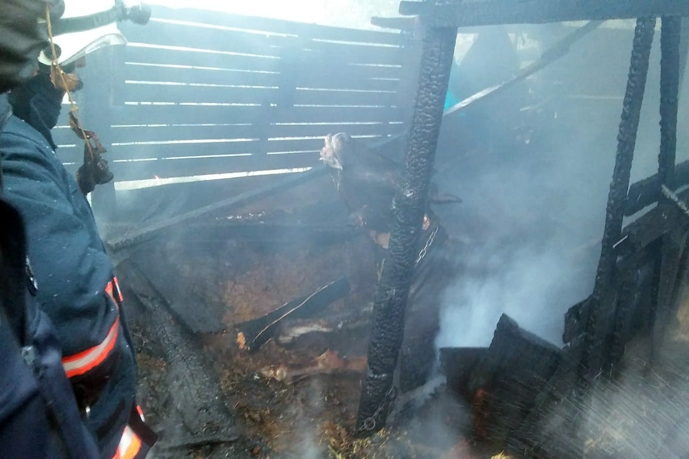 Gümüşhane’de ahır yangını 2