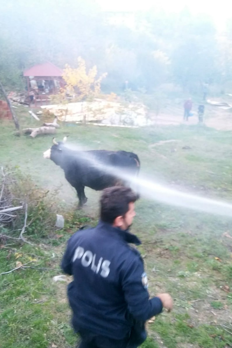 Gümüşhane’de ahır yangını 1